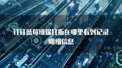多乘單CRM返點查詢與信息系統(tǒng)運行維護服務(wù)詳解