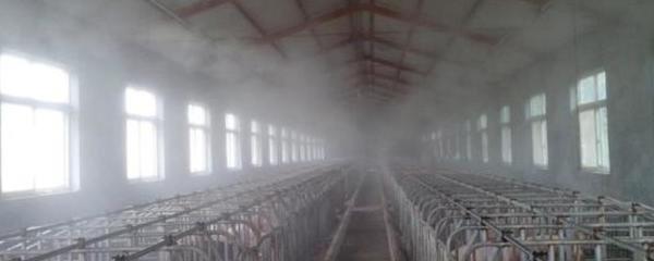 養殖場除臭劑與生物除臭設備 安全性解析與環境效益